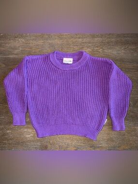 Gigi and Max Purple Sweater size 12-18 mo